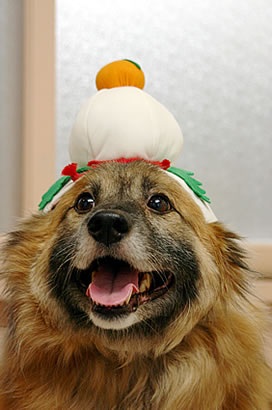 明けましておめでとうございます！