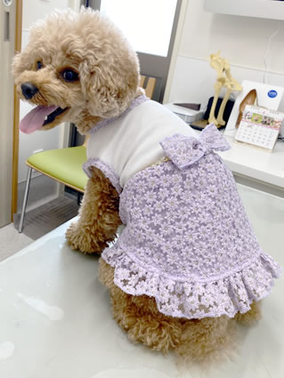 お揃いコーデでかわいさ二倍！ルナちゃん、ユズちゃん