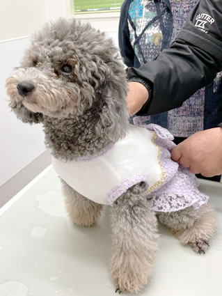 お揃いコーデでかわいさ二倍！ルナちゃん、ユズちゃん