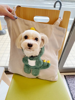 私は恐竜さんよ！